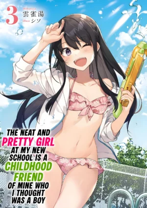 EPUB Vol. 3 – The Neat and Pretty Girl at My New School Is a Childhood Friend of Mine Who I Thought Was a Boy (English Translated Light Novel) + 10 Coins